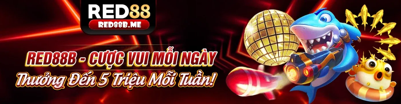 Liên hệ cbvip5 - Hỗ trợ khách hàng chuyên nghiệp