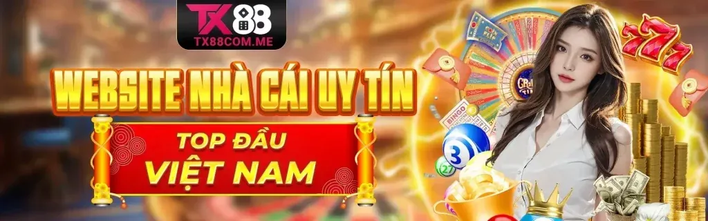 Lịch sử phát triển và các cột mốc quan trọng của cbvip5